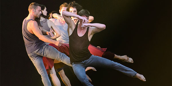 ZviDance