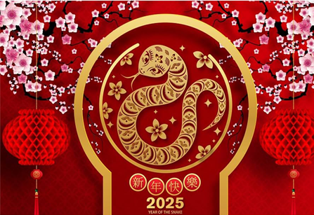 CSSA SPRING FESTIVAL GALA